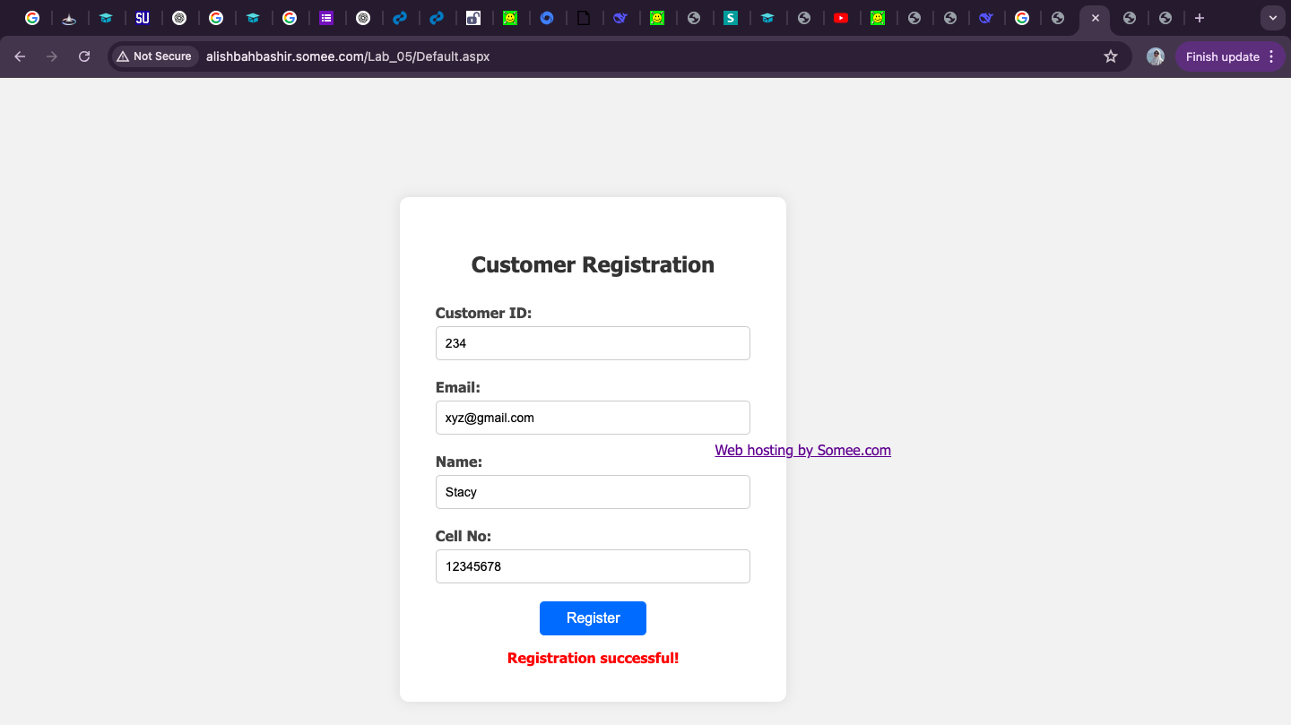 Customer Entry Screenshot